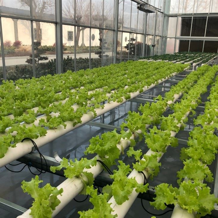 Planting Trough Soilless Culture factory